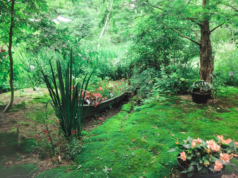 庭院生活场景